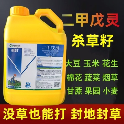 5公斤大桶装33%二甲戊灵苗前