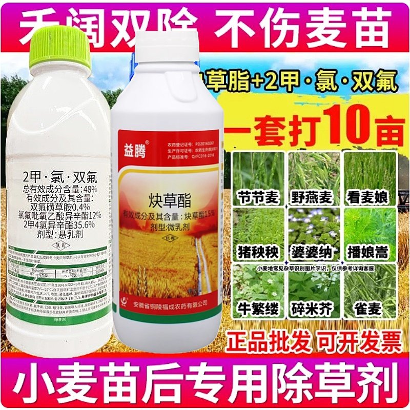 小麦苗后除草专用炔草酯