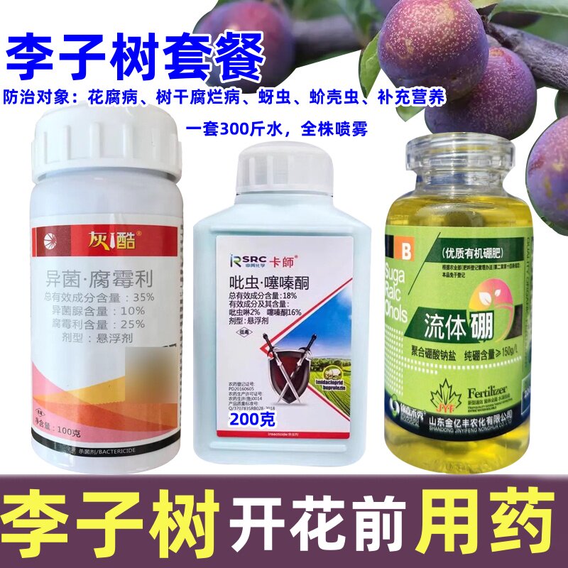 李子树杀虫杀菌营养套餐腐烂病红
