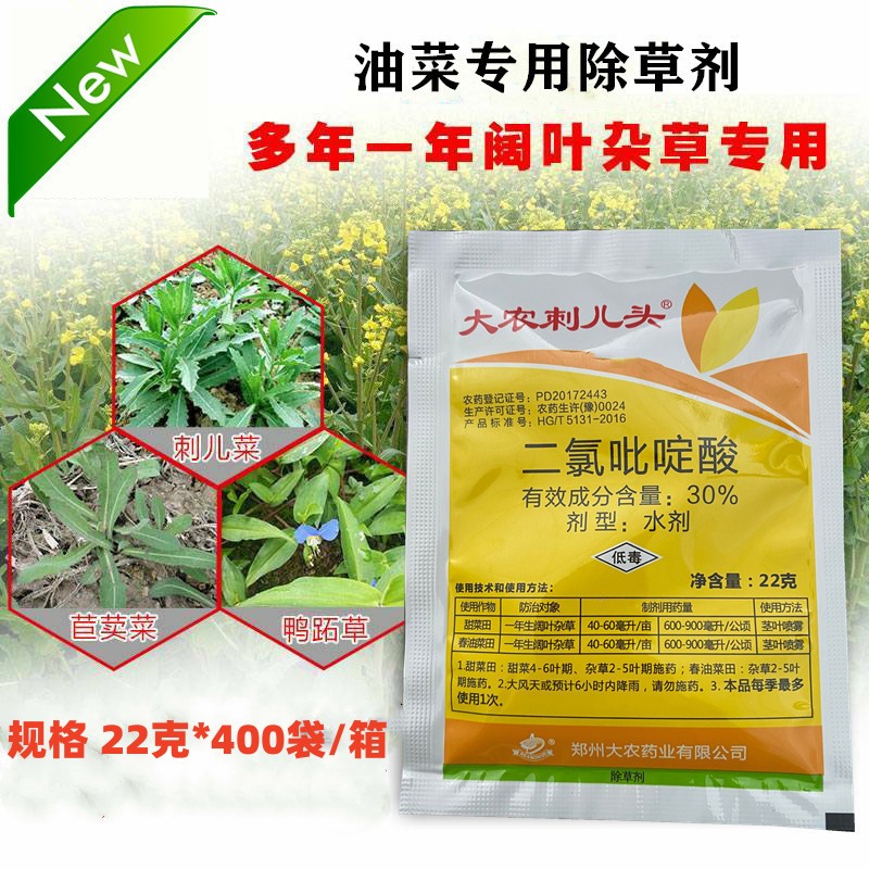 大农刺儿头二氯吡啶酸甘蓝白菜型油菜除草剂 刺儿菜苣荬菜鬼针草