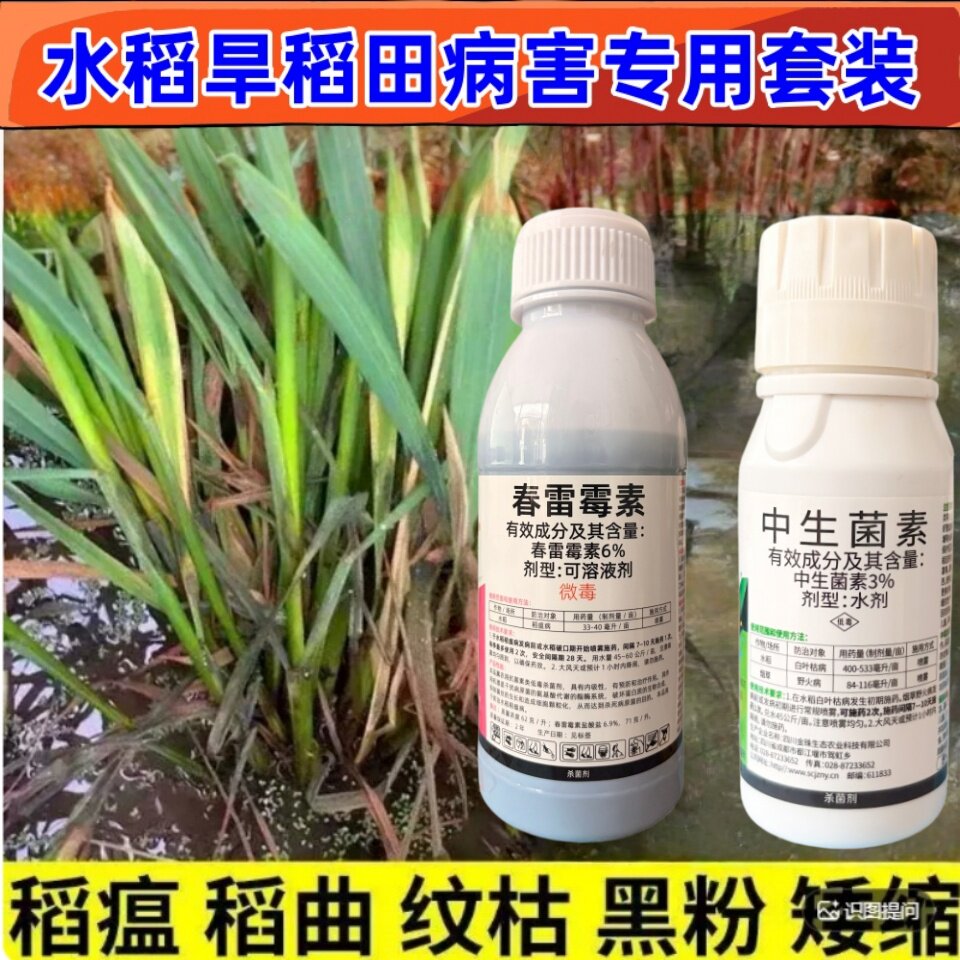 水稻病全治水稻杀菌剂稻瘟病