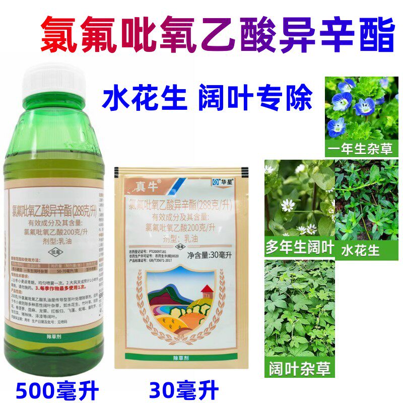 华星真牛28.8%氯氟吡氧乙酸异辛酯猪殃殃水花生阔叶杂草除草剂