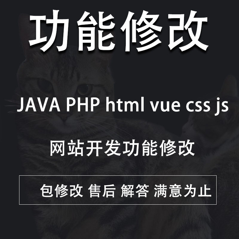 网站代码修改搭建环境PHP二次开发修复支付对接bug修复js功能
