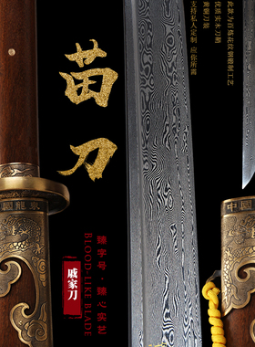 中华苗刀丁修龙泉雁翎刀戚家刀绣春一体锰钢双手武术练习未开刃