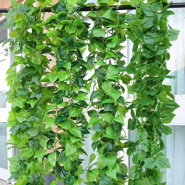 Товары от 花千韵植物