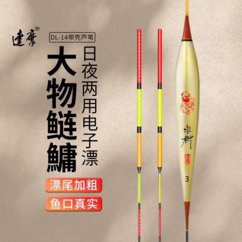 达摩芦苇电子漂加粗尾夜光漂