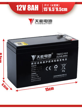 天能电梯备用电源厂家直销