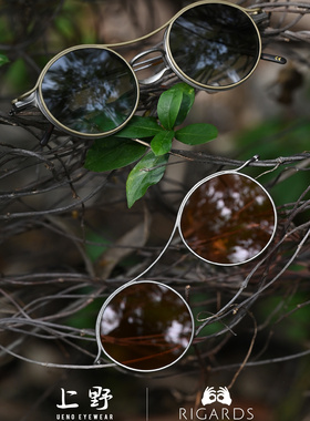 上野眼镜|RIGARDS 26年联名限量款 唐汉霄RG2000TVA(A)双夹片替换