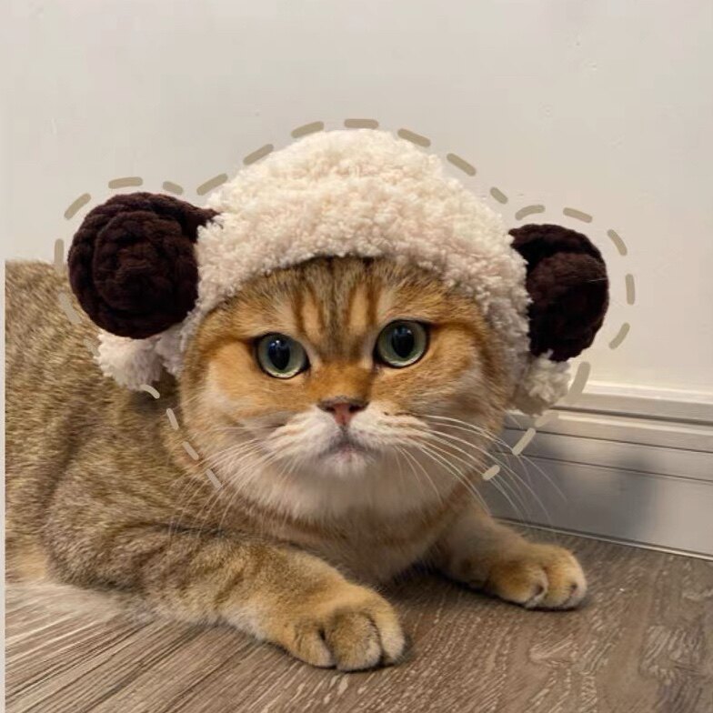 小唯家宠物羊角帽子无毛渐层猫咪狗狗保暖针织帽子莉娜熊帽