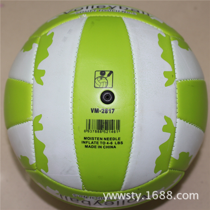 Ballon de volley - Ref 2010260 Image 3