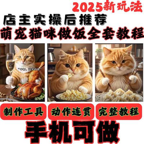 2025抖音短视频同款ai最新萌宠小猫咪熊猫做饭打工全套视频教程