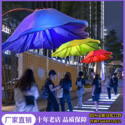 福建人体感应花呼吸开合花朵