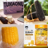 土小妞黑糯玉米内蒙古黄糯玉米软糯香甜大苞米快手早餐小吃玉米棒