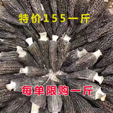 云南香格里拉剪柄羊肚菌干货野生500g精选野生云南新鲜羊肚菇煲汤