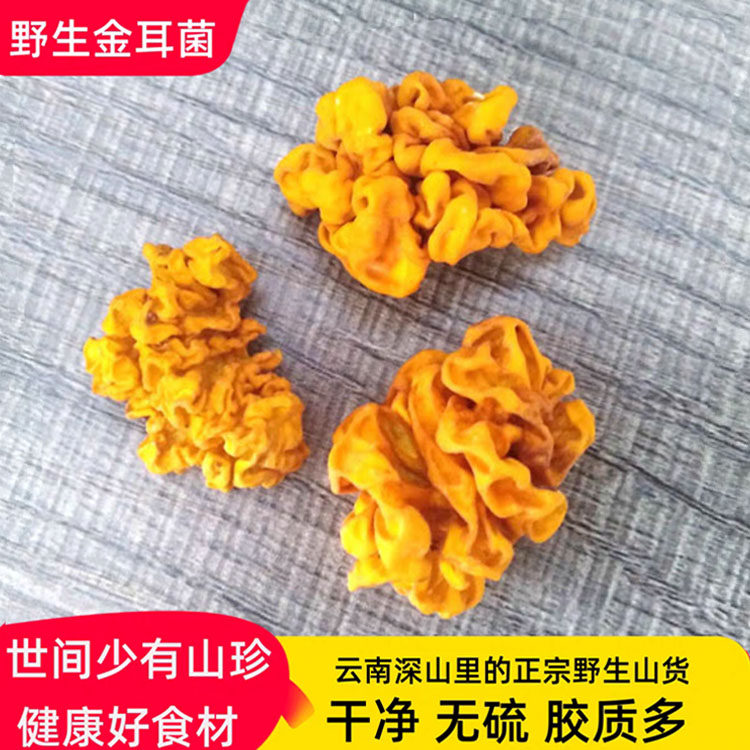 云南优质野生小金耳黄木耳干货250克包邮精品无硫西藏银耳菌桃胶