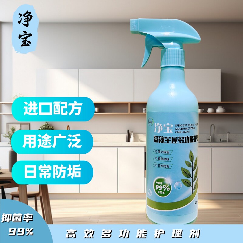 净宝高效多功能护理剂清洁剂油烟机灶台厨房油污剂重油污去污