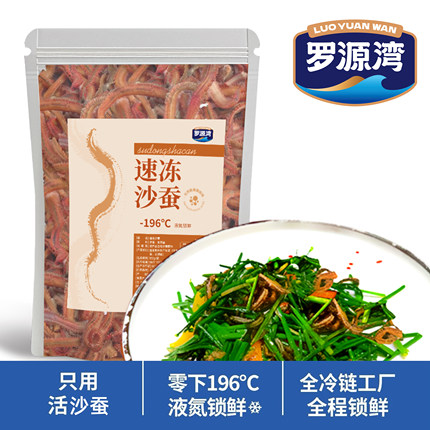 福建海中虫草 可食用沙蚕营养美味新鲜液氮速冻福建流蜞