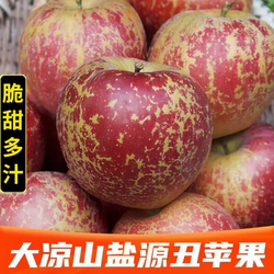 四川大凉山丑苹果冰糖心盐源苹果水果当季红富士整箱8斤现摘新鲜