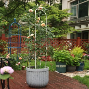 阳台花架爬藤架玫瑰铁线连月季支撑架庭院园林花支架美观植物攀爬