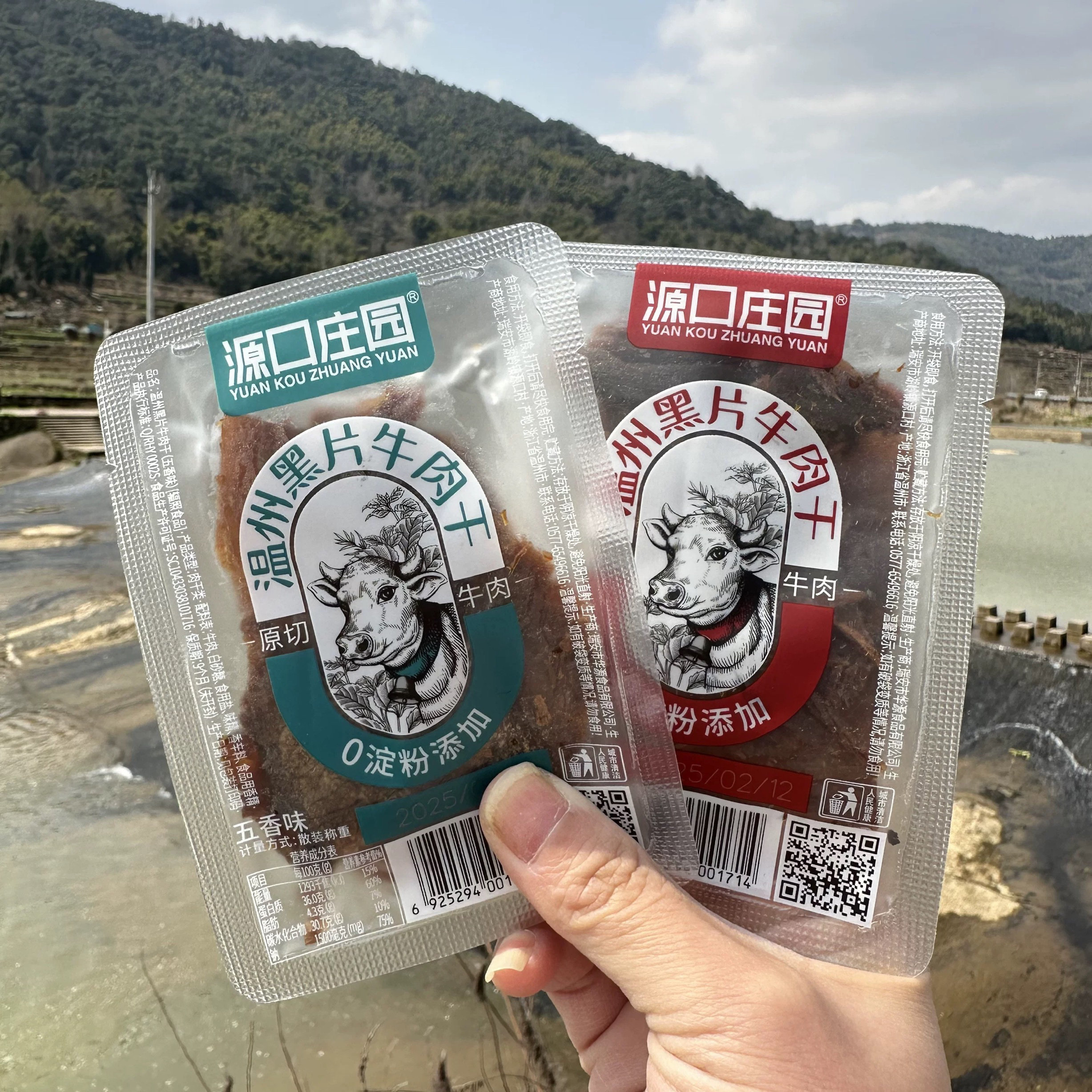 温州黑片牛肉干湖岭特产源口庄园散称独立包装原切手撕牛肉片零食