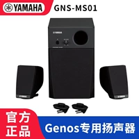 Флагман Yamaha организовал электронный пианино Специальные докладчики GNS-MS01 Специальный динамик