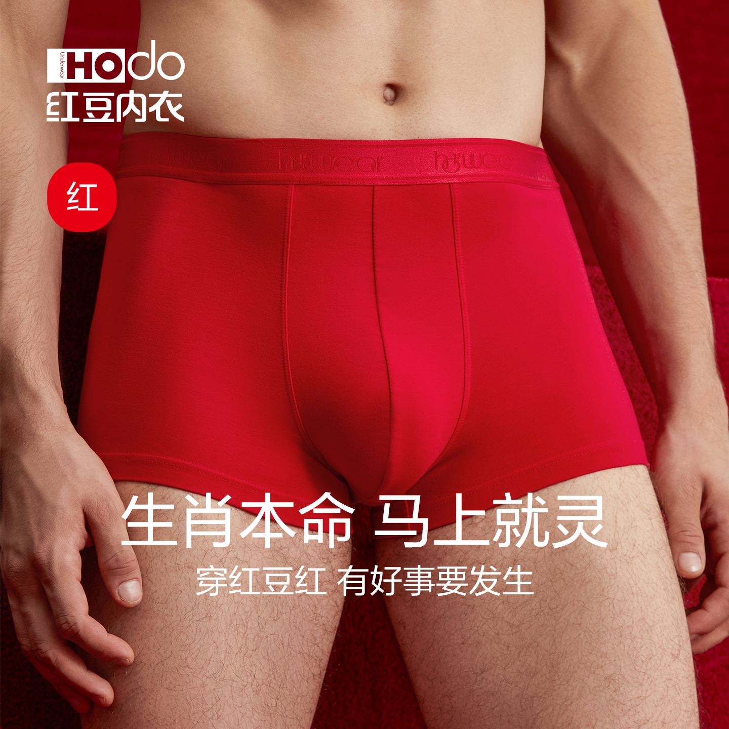 红豆本命年大红内裤平角裤