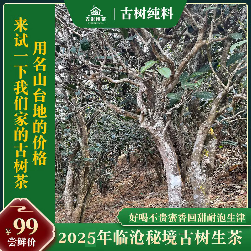 小产区高性价比古树茶