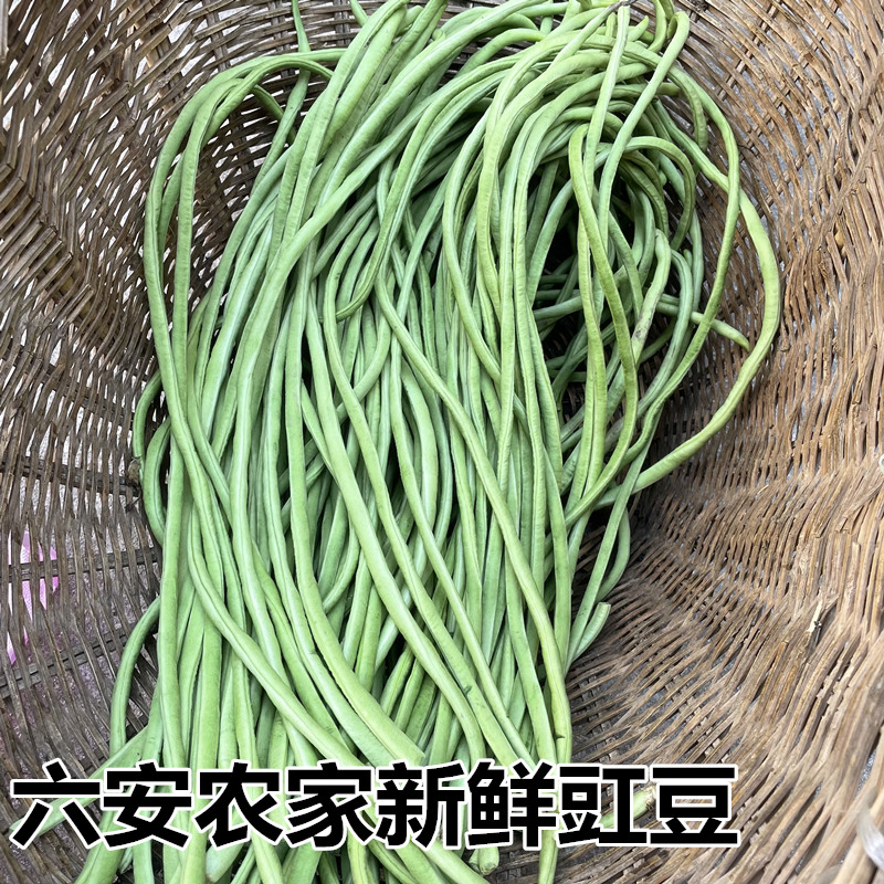 农家嫩豇豆时令蔬菜现摘发货