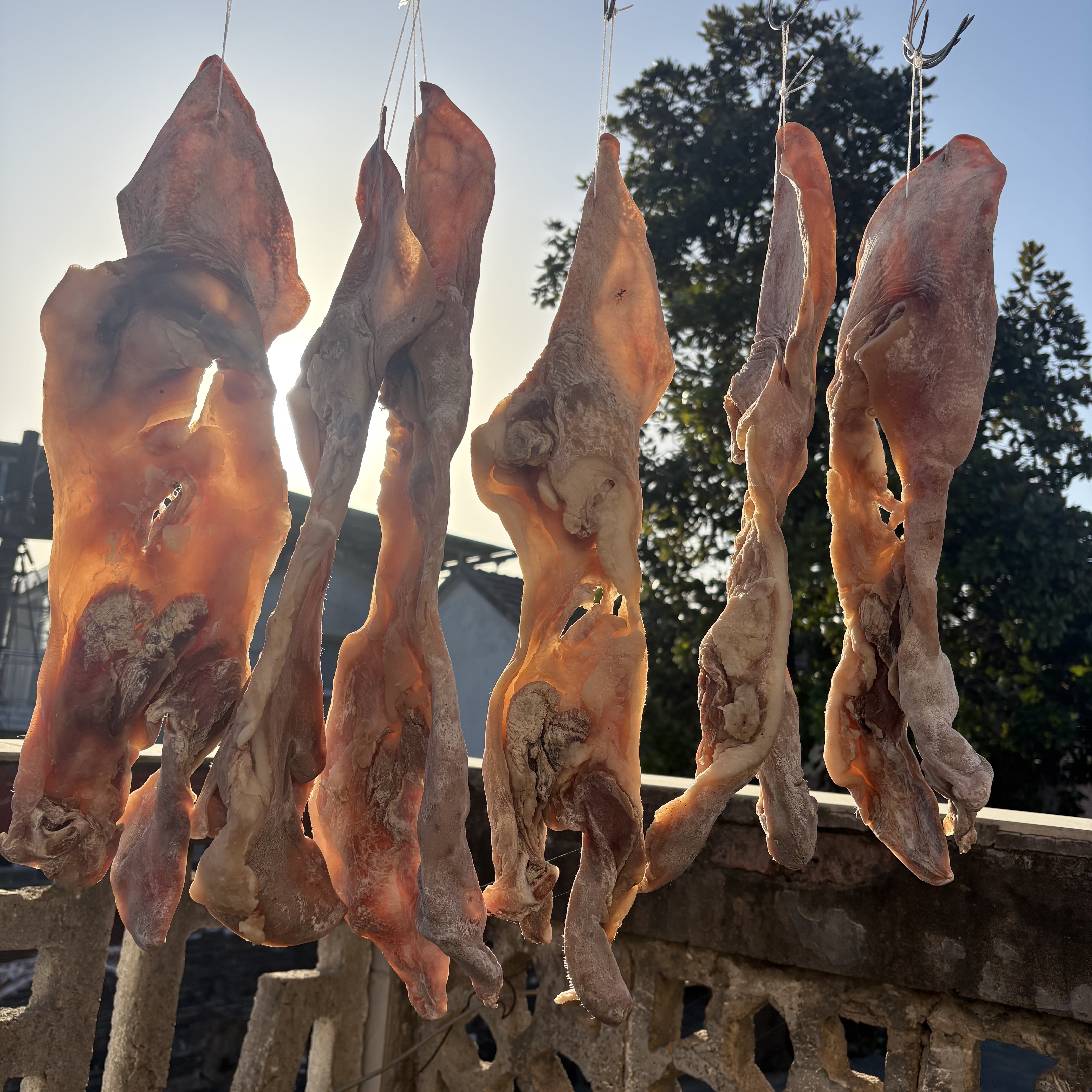 咸耳朵皮干腊货六安土特产猪头皮