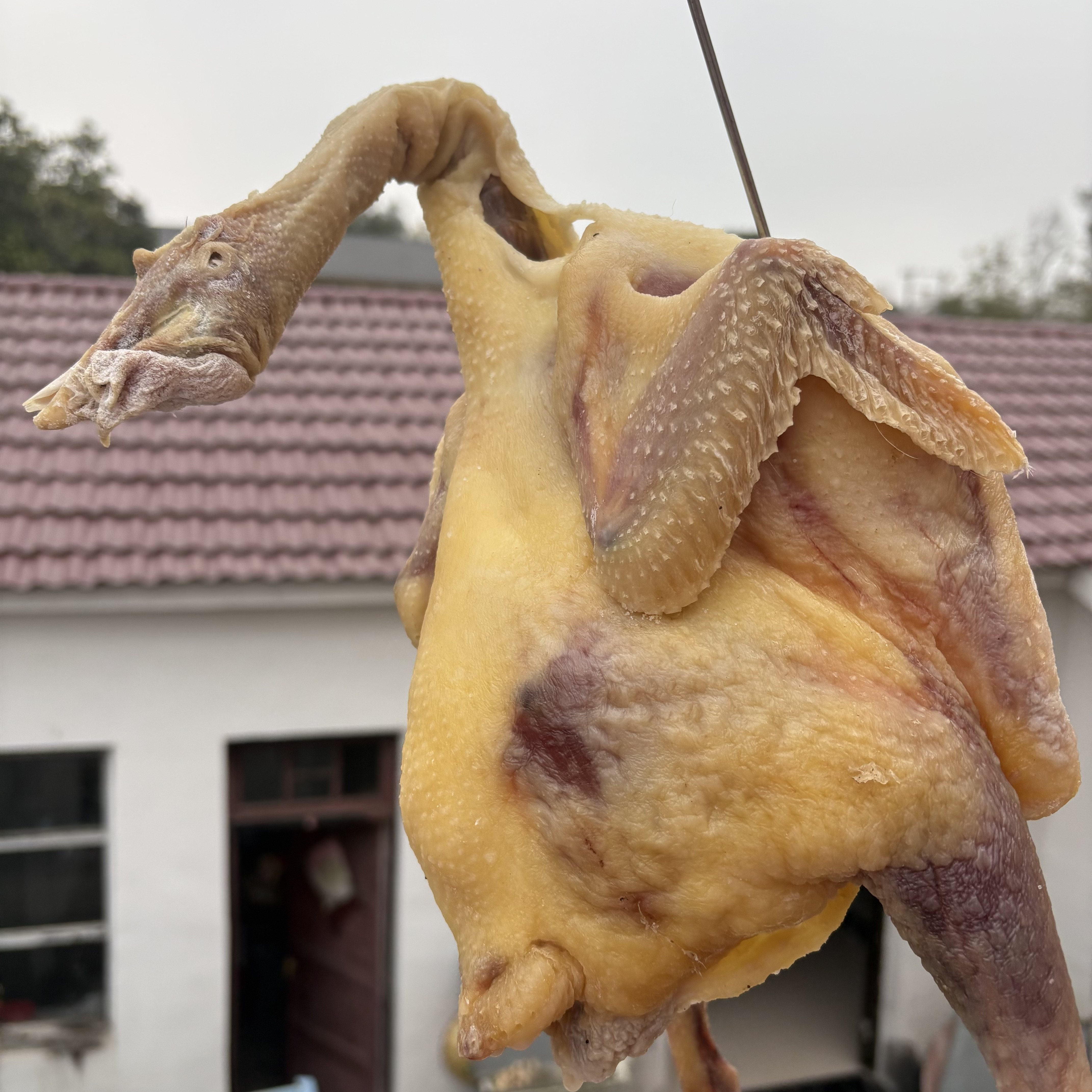腊鸡风干鸡安徽六安手工腌制咸鸡整只农家自制腊禽类传统工艺年货
