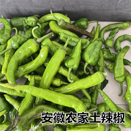 正宗农家青椒土辣椒笨大椒