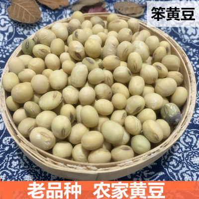 黄豆安徽六安豆子干货大小500g