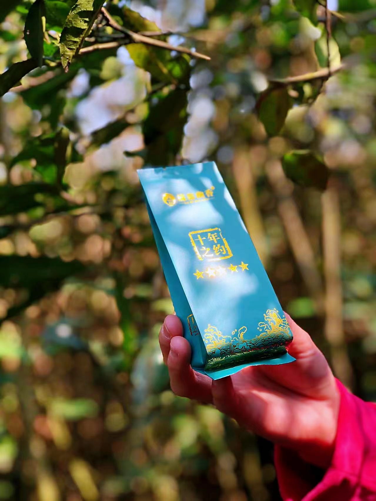 蝶慕幽香白茶白毫银针毫香蜜韵