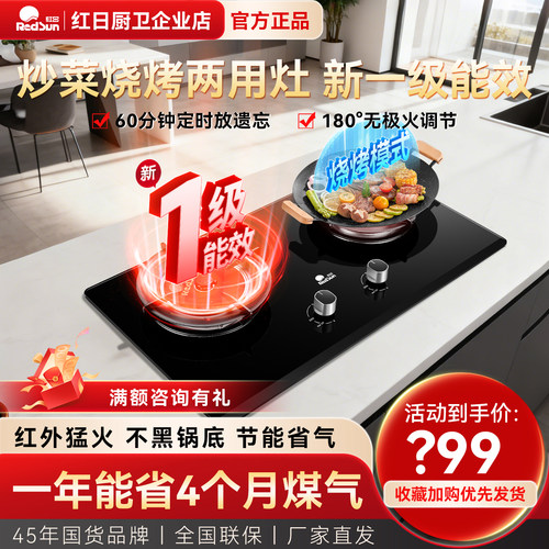 红日红外线燃气灶双灶EX36B