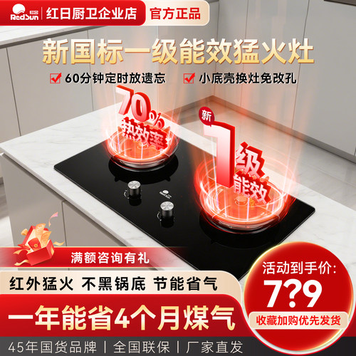 红日红外线燃气灶双灶EX26B