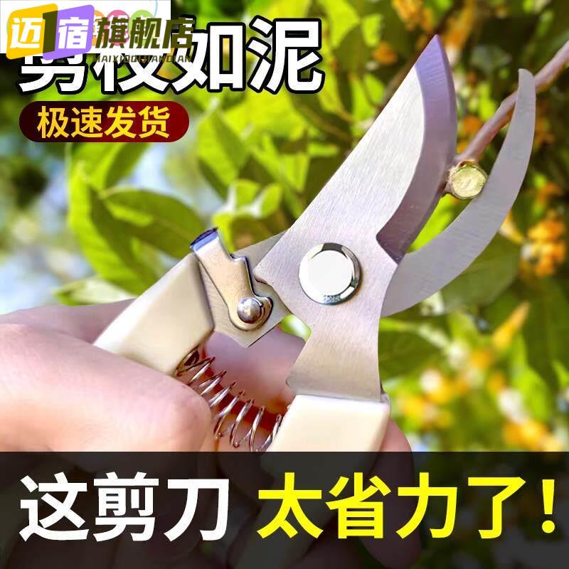 剪枝果树修枝剪刀园艺园林修花枝剪家用强力神器花剪剪枝花卉剪刀图片