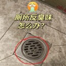 地漏防臭下水防返臭神器洗衣机卫生间通用硅胶内芯过其它卫浴配件