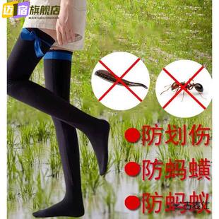 种田袜子插秧袜男下水田水稻插田下田脚袜厚防蚂蝗长袜栽秧专用耐