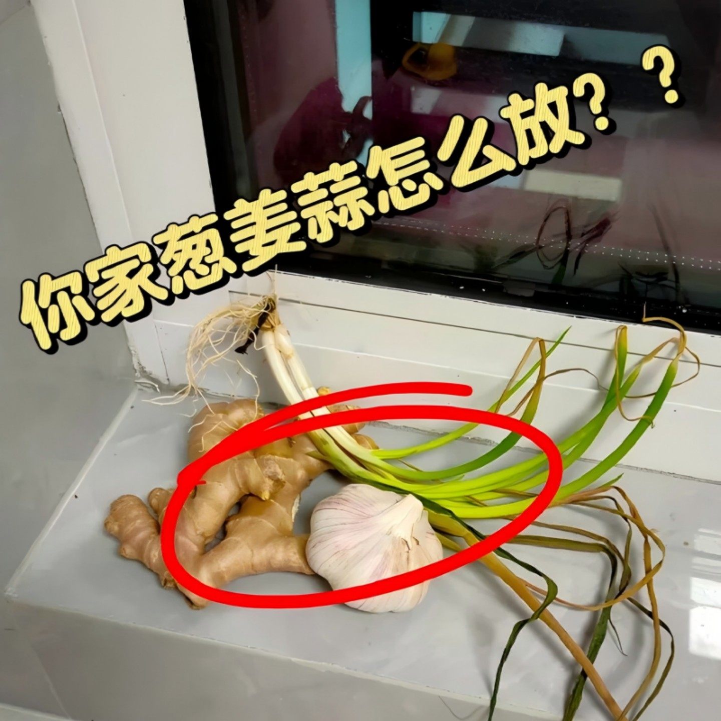 吸盘葱姜蒜收纳盒厨房旋转置物架子挂篮墙上神器收纳篮浴缸置物架,餐饮具,洗菜盆/沥水篮/漏水筛,淘宝优惠券,粉丝福利购,淘宝优惠卷