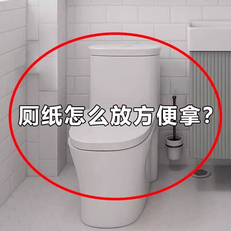 卫生间厕纸盒免打孔卫生纸置物架厕所壁挂式专用卫生巾收纳备菜盘