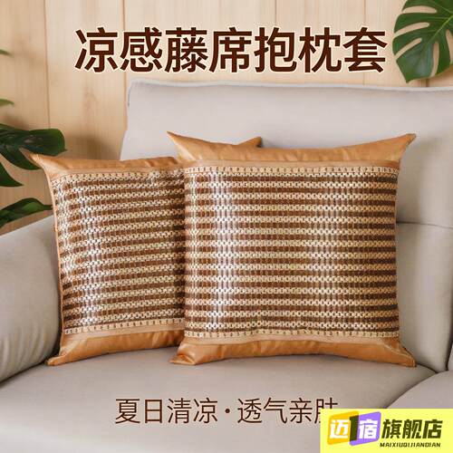 客厅沙发抱枕套夏季冰丝可拆洗抱枕45x45冰藤凉席靠垫套不含芯