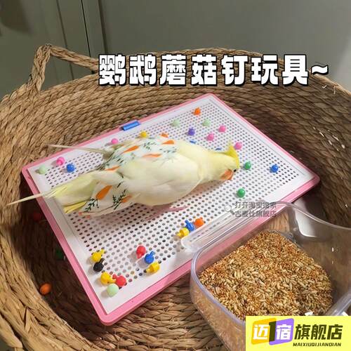 鹦鹉蘑菇钉玩具鸟类益智玩具趣味小鸡啃咬拔钉子自嗨解闷防抑郁