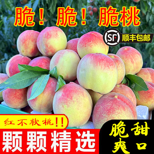 【顺丰上门】脆桃硬桃现货新鲜水果当季时令水果当季热卖现摘现发