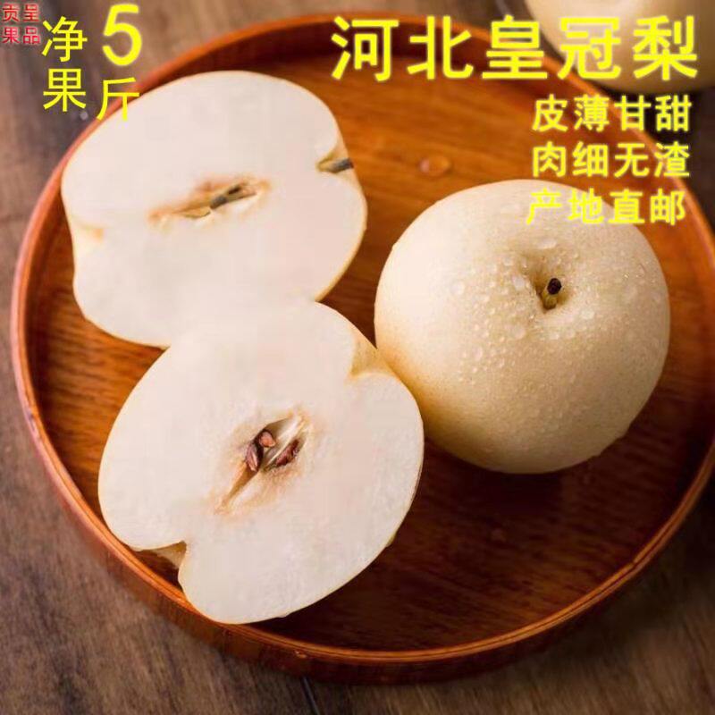 皇冠梨河北正宗新鲜水果5斤10整箱包邮一级梨子当季现货皇冠梨子