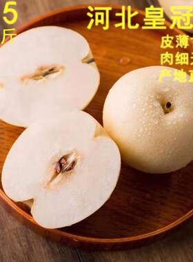 河北皇冠梨皇冠梨果佑多