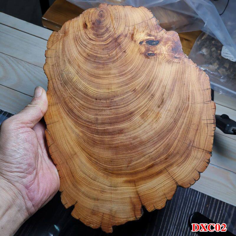 太行崖柏天然随型原木微瑕疵底座