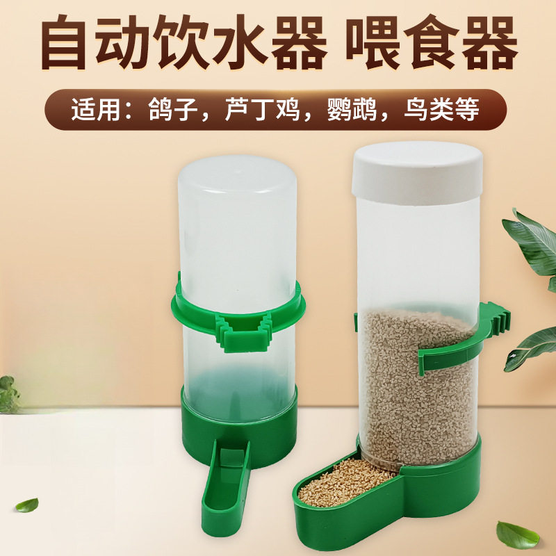 饮水器小鸟喝水器鸽子食槽芦丁鸡食盒喂食鸟专用自动喂食器,收纳整理,其他收纳,淘宝优惠券,粉丝福利购,淘宝优惠卷