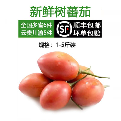 云南大树番茄新鲜洋酸茄鸡蛋果缅茄傣味酸汤调味凉拌蔬菜半斤包邮