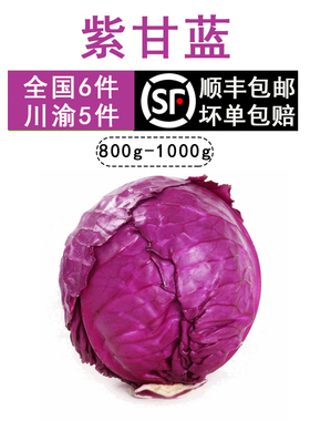 蔬菜新鲜包邮紫甘蓝紫包菜紫色红椰菜西餐生菜沙拉食材 800~1000g