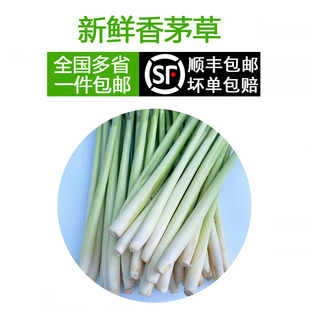 香茅草新鲜柠檬草香料食用奶茶店泡茶烤鱼调料泰国冬阴功汤料原料
